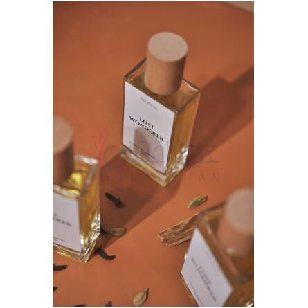 Lost Wonderer-پی ای او اس وای ام لاست واندیریر