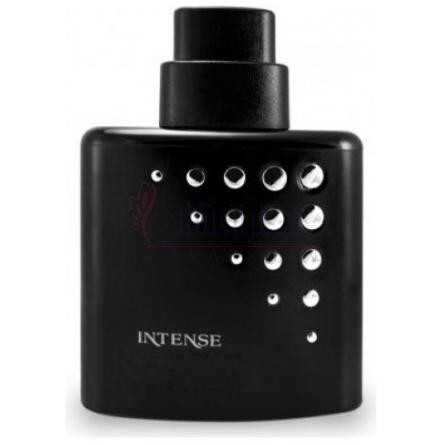 Kaotic Intense-کریس آدامز کائوتیک اینتنس