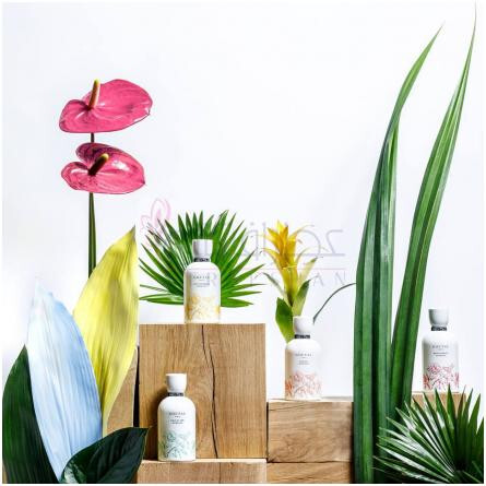 Songes Eau Sans Alcool-آنیک گوتال سانگس او سنس الکل