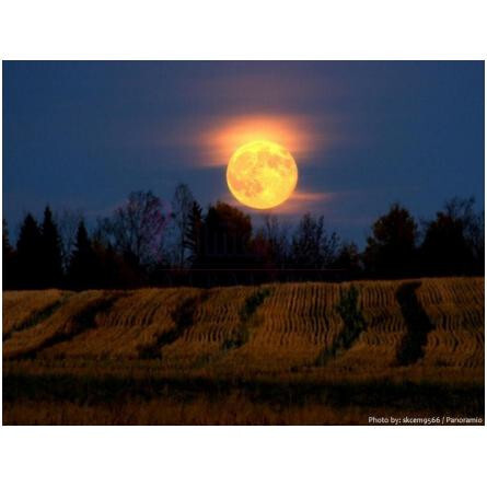 Moonlight In Chiangmai-دوسیتا مون لایت این چیانگامی