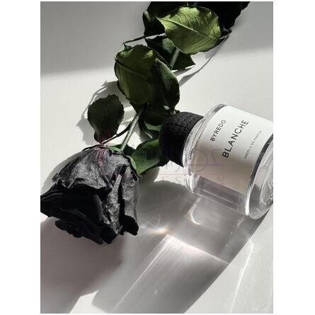 Blanche Absolu-بایردو بلانچ ابسولو