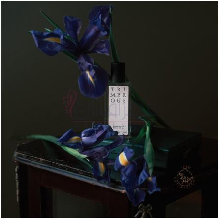 Trimerous-جوروم استودیو تریمروس