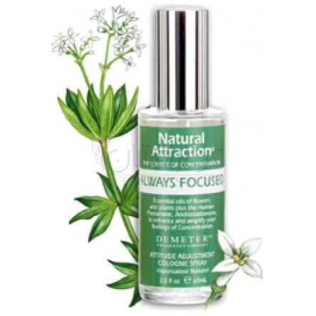 Always Focused-دیمتر فرگرنس الویز فوکسد