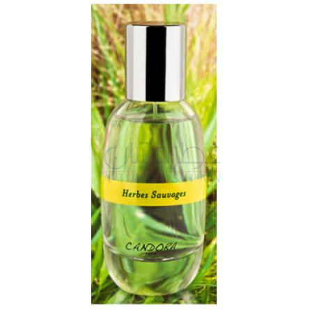 Herbes Sauvage-کاندورا هربس ساوج