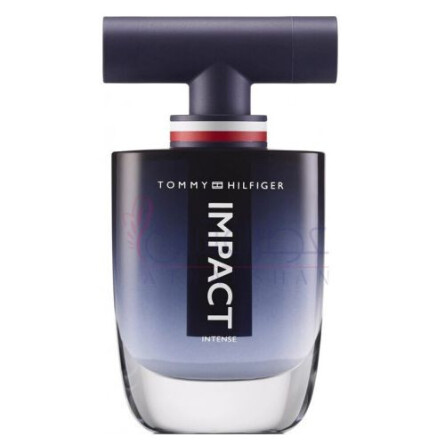 impact intense tommy hilfiger