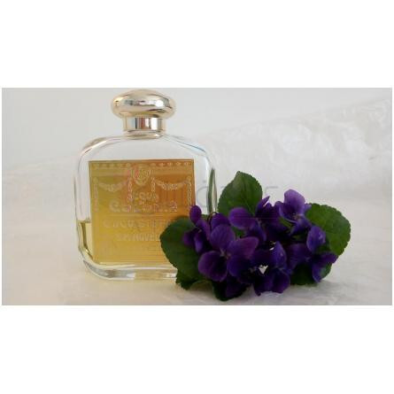 Violetta-سانتا ماریا نوولا ویولتا