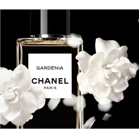 gardenia parfum chanel