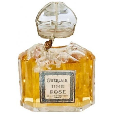 Une Rose-گرلن ان رزی