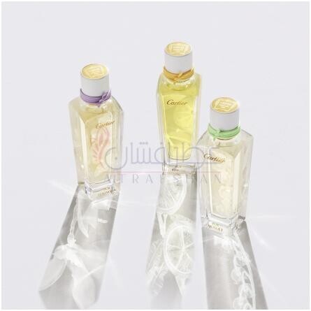 Pur Kinkan-کارتیر پور کینکن