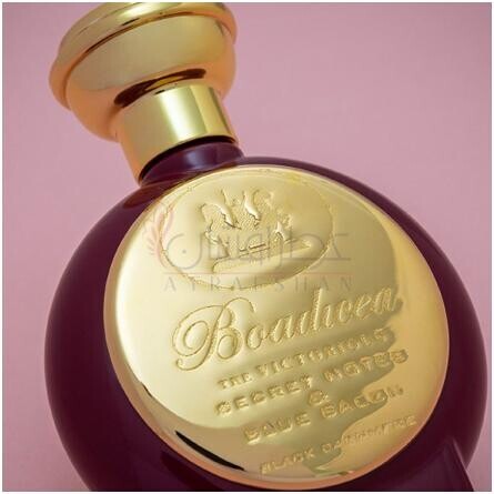 Black Cashmere-بودیسی  د ویکتوریوس بلک کشمیر