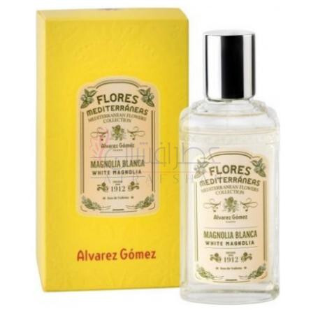 Magnolia Blanca (White Magnolia)-الوارز گومز مگنولیا بلانکا (وایت مگنولیا)