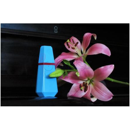 LouLou-کاشارل لو لو