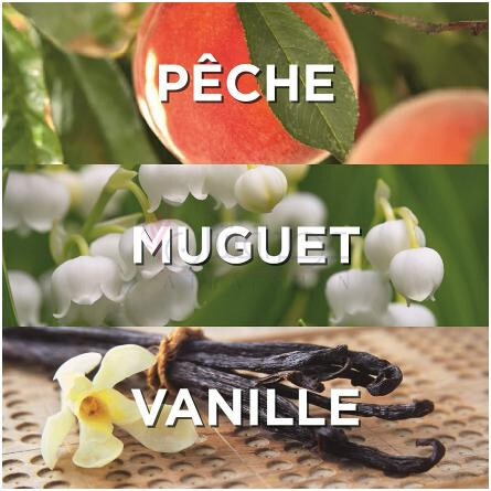 Demon 2021-او ژن دمون 2021