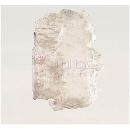 Snow Blossom-باربری اسنو بلوسوم