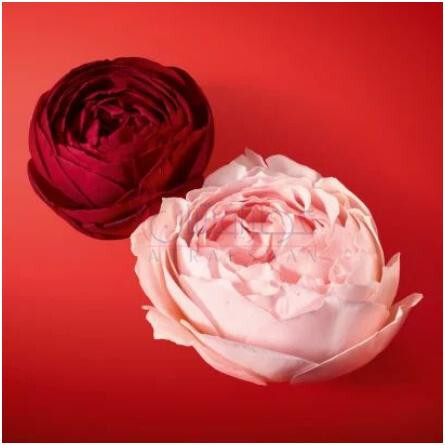 Si Passione Eclat De Parfum-جورجیو آرمانی اس آی پشن اکلت د پرفیوم