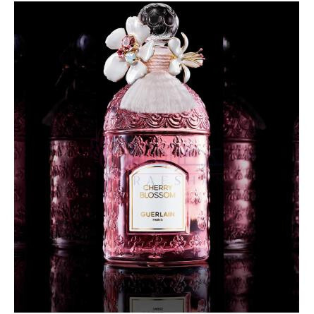Cherry Blossom Millésime 2024-گرلن چری بلوسوم میلسیم 2024