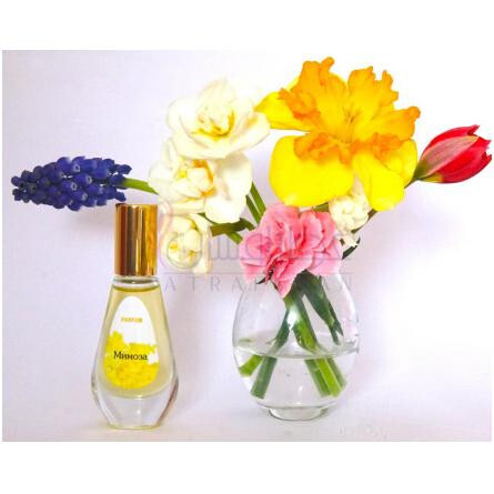 Mimoza-دیلیس پارفوم میوزا