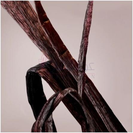 Valentina 2025-والنتینو ولنتینا 2025