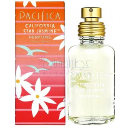 California Star Jasmine-پسیفیکا کالیفرنیا استار جاسمین