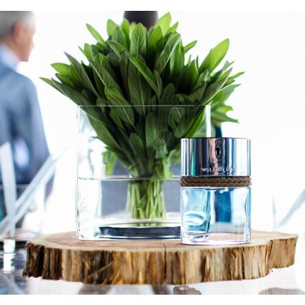 Wildblue-بنانا ریپابلیک ویلد بلو