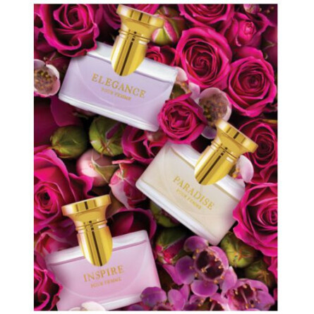 Paradise-جونید جمشید پارادایس