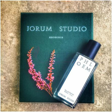 Phloem-جوروم استودیو فلوئم