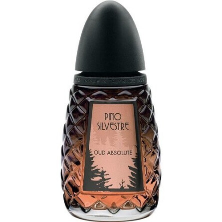 Oud Absolute-پینو سیلوستره عود ابسولوت