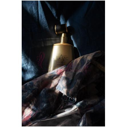 Chrysalide-له آرک کریسالید