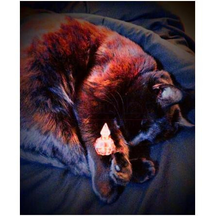 Fath de Fath (1993)-ژاک فت فت د فت 1993