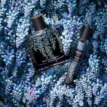 Wisteria Blue-نست ویستریا بلو