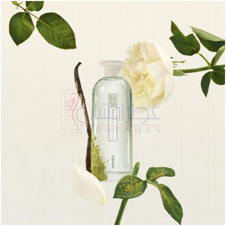 Poudre Matcha-کنزو پودر ماچا