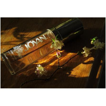 White Musk-جووان وایت مسک