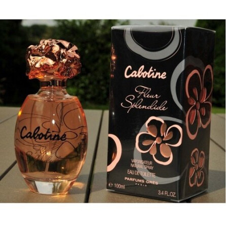 Cabotine Fleur Splendide-گرس کابوتین فلور اسپلندید