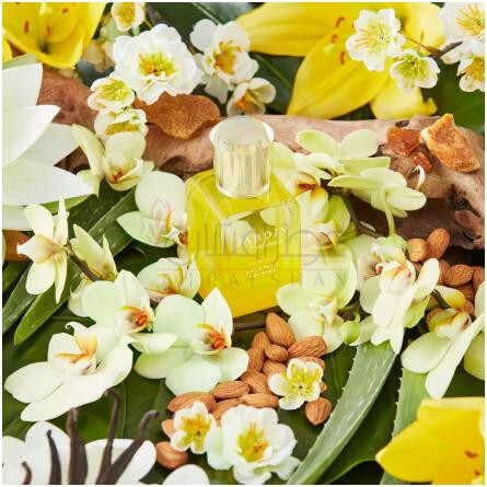 Escapade Solaire-جاردین بوهم اسکپید سولیر