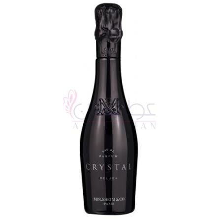 Beluga-مولسهایم اند کو بلوجا