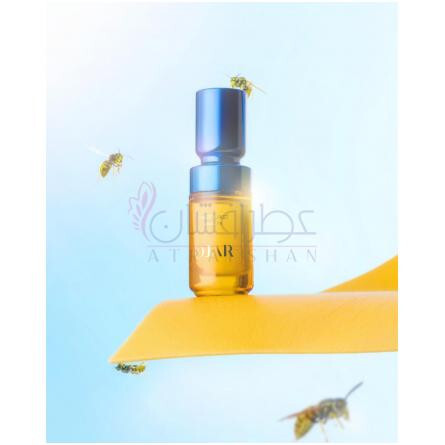 Wasp Waist-اوجار وسپ ویست