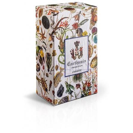 A'mmare-کارتوزیا اماره