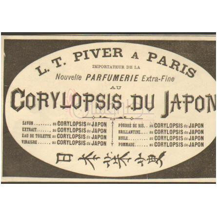 Corylopsis du Japon-ال تی پایور کوریلاپسیس دو ژاپن