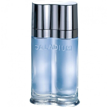 Caladium-ایو د سیستل کالادیوم