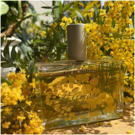 Mimosa-فراگونارد میموسا