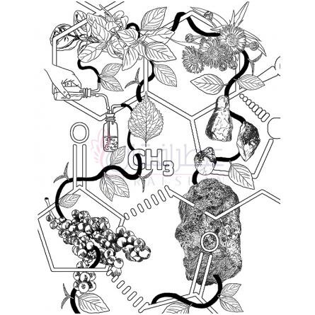 Ambergreen-اولیور اند کو امبر گرینن