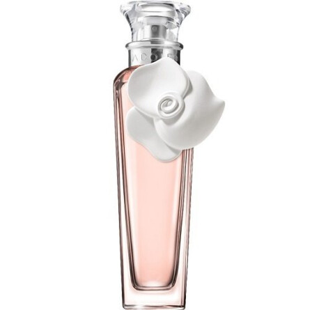 Agua Fresca de Rosas Blancas-آدولفو دومینگز آگوا  فرسکا د رزز بلانکاس