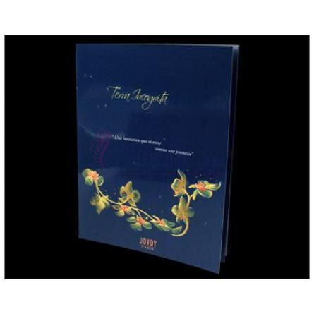 Terra Incognita-جوووی پاریس ترا اینکوگنیتا