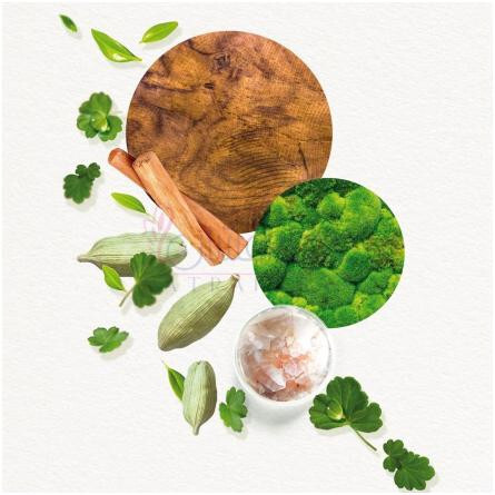 Kogaï For Him-آنایاکه کوگای فور هیم