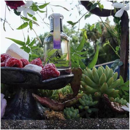 Soir Ensoleille-بیسومین سویر اینسولیل