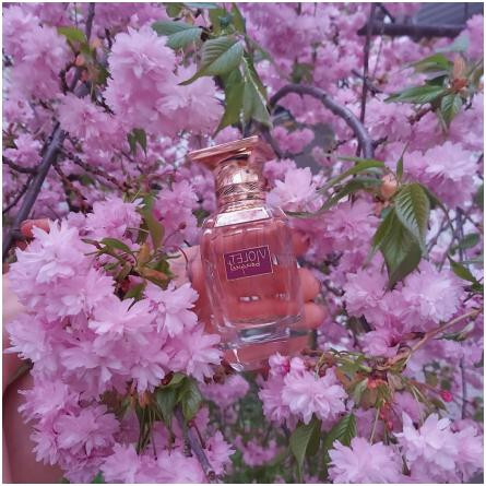 Violet Bouquet-افنان ویولت بوکت