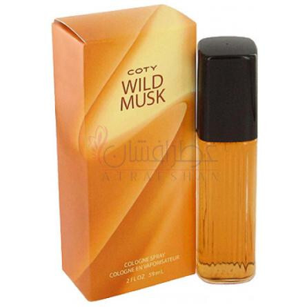 Wild Musk-کوتی وایلد مسک