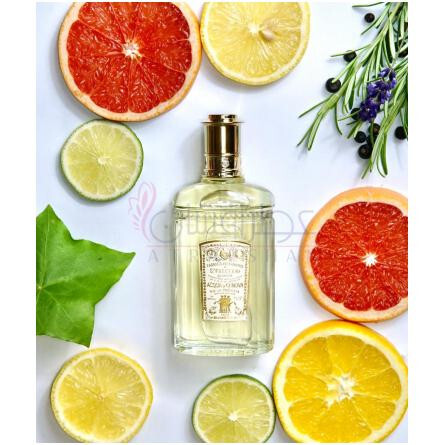 Genes-اکوا دی جنووا جنس