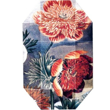 Print Collection Stella 03-استلا مک کارتنی پرینت کالکشن استلا 03