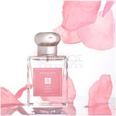 Rose Blush Cologne (2023)-جو مالون رز بلاش کلن 2023